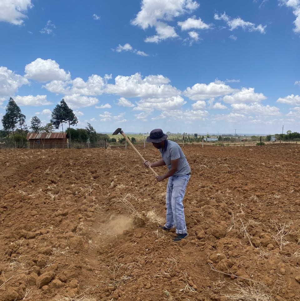 Land preparation-1.jpg